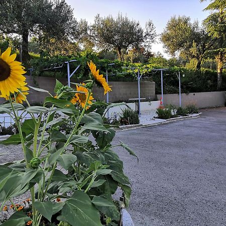 Rosemarin Apartamento Koper Exterior foto