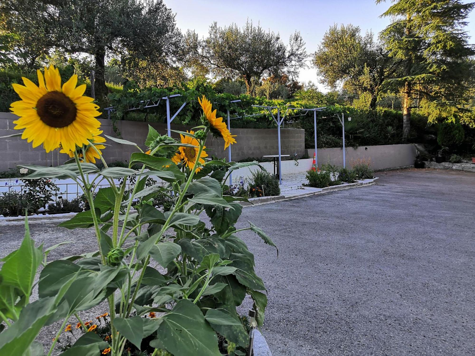 Rosemarin Apartamento Koper Exterior foto